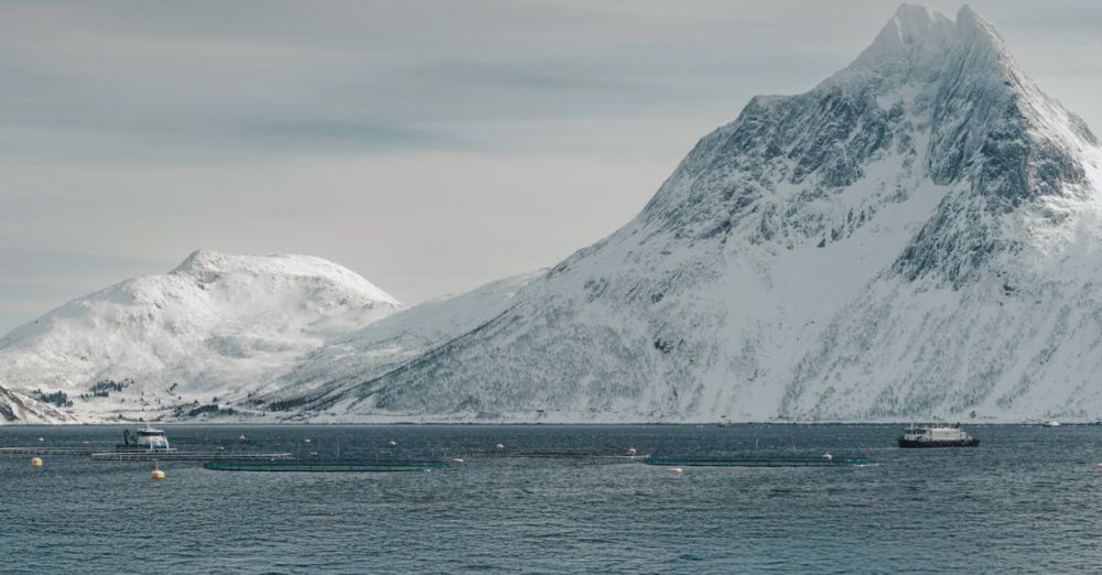 Budget Ice Fishing - A serene landscape of snow-covered mountains and calm arctic ocean waters.