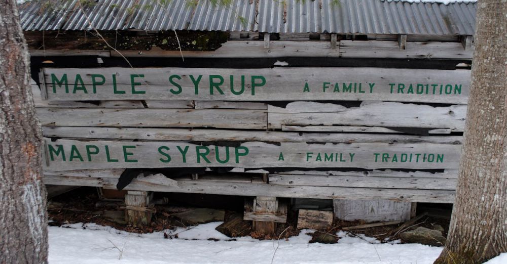 Maple Syrup Products - Shabby wooden construction with inscription Maple Syrup located between trees in snowy countryside