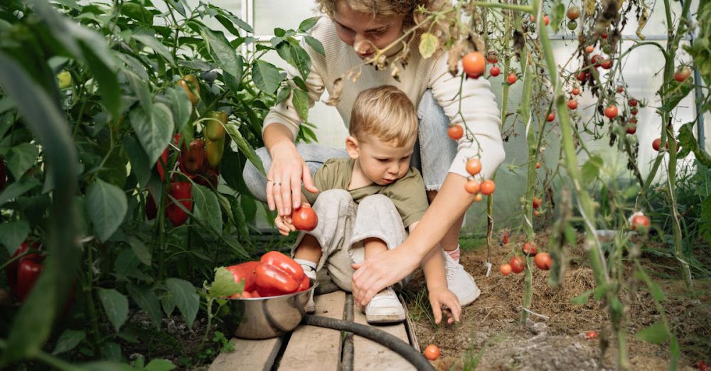 Learning Farms - A mother and her young son harvest tomatoes and peppers together in a lush greenhouse.