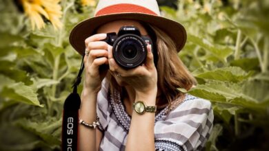 Photography - Woman with hat photographing sunflowers in a summer field using a Canon camera.