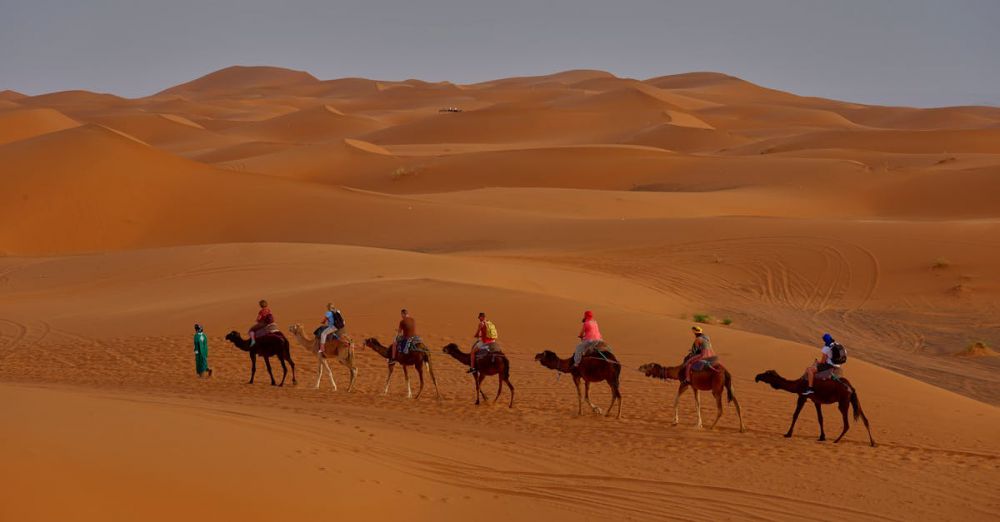 Group Tour - Tourists ride camels across stunning sand dunes under a clear desert sky, capturing the essence of desert adventure.