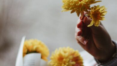 Private Springs - Crop anonymous person with blossoming yellow flowers above windowsill with striped fabric in light house