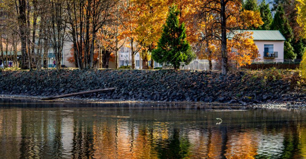 BC Springs - Tranquil autumn landscape reflecting on the lake at Harrison Hot Springs, BC, Canada.