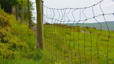 Cycling Routes - A winding barbed wire fence stretches across a lush, green countryside landscape.