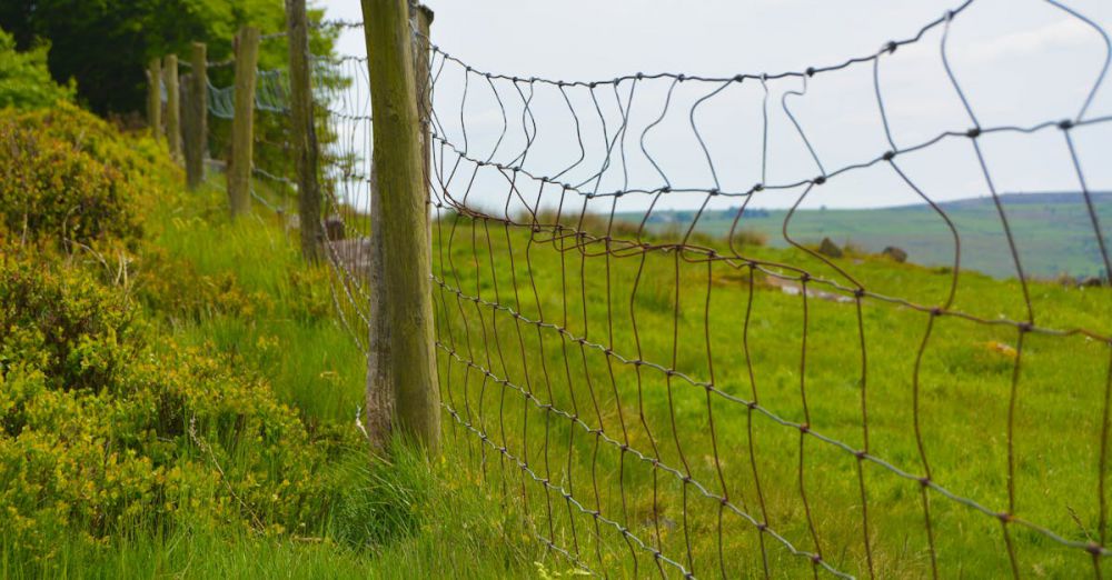 Cycling Routes - A winding barbed wire fence stretches across a lush, green countryside landscape.