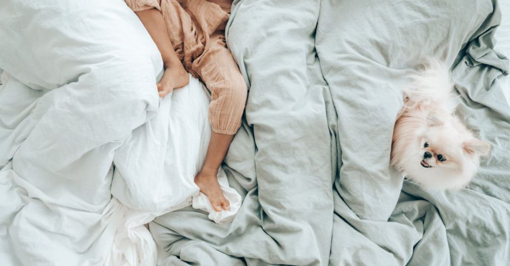 Best Time - A child and a fluffy dog reclining comfortably on cozy white and green bed linens.