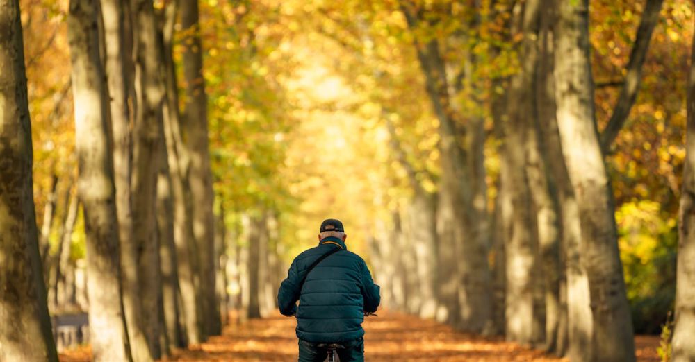 Cycling Trails - A man cycling through a tree-lined path in Berlin, surrounded by vibrant autumn leaves.