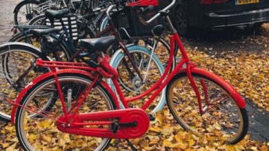 Urban Cycling - Red bicycle on a leafy sidewalk in Amsterdam, captured in fall.