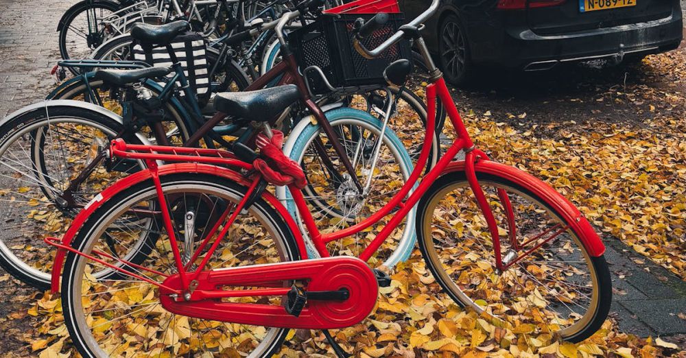 Urban Cycling - Red bicycle on a leafy sidewalk in Amsterdam, captured in fall.