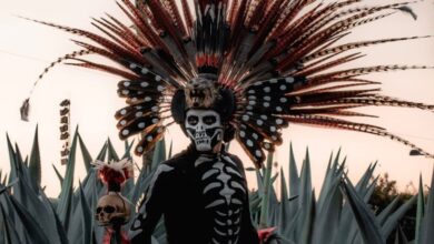 Indigenous Rituals - A man in traditional Mexican festival attire with a feathered headdress stands among large agave plants.