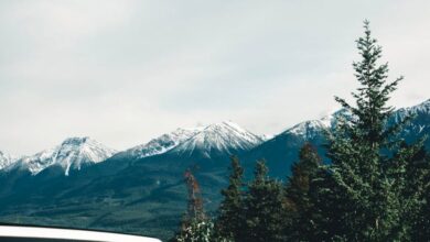 BC Experiences - Explore the stunning mountain landscapes of Golden, BC by car.