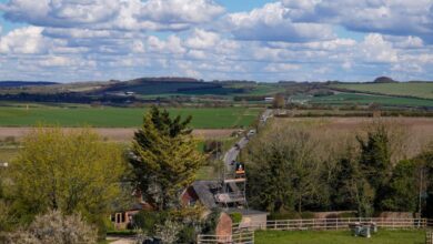 Land Tours - Idyllic rural landscape in England with lush fields and vibrant blue sky.