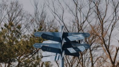 Scenic Locations - A directional signpost stands amidst barren trees in a serene autumn setting.