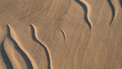 Kayak Vs Canoe - Close-up of unique sand patterns in a natural dune formation.