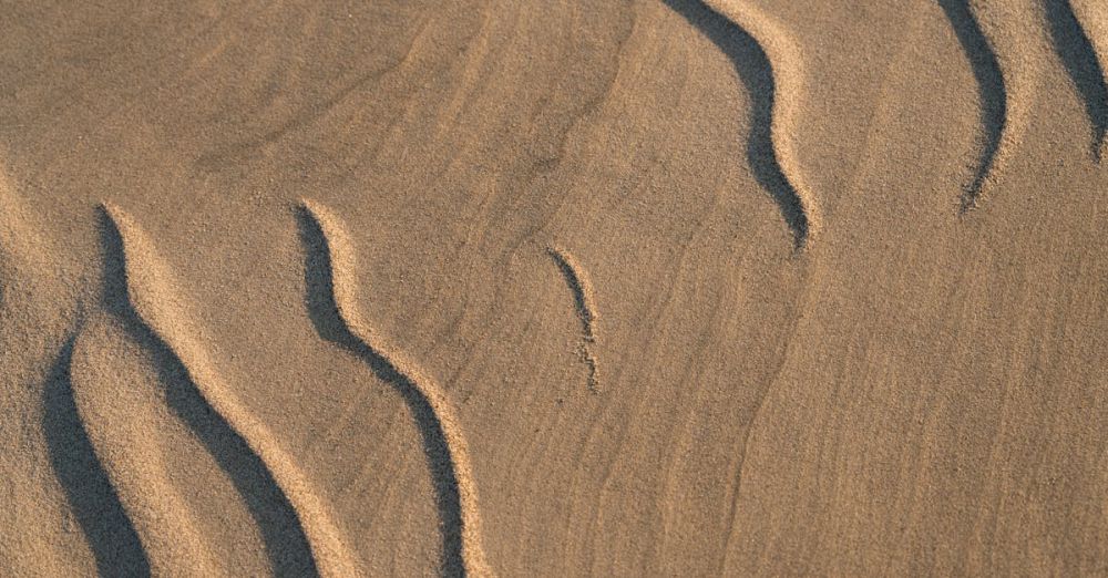 Kayak Vs Canoe - Close-up of unique sand patterns in a natural dune formation.