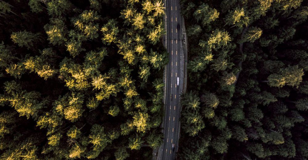 BC Destinations - Stunning drone shot of a winding road through lush trees in Stanley Park, Vancouver.