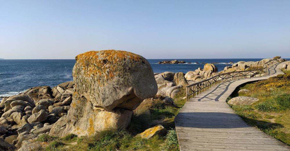 Scenic Trails - Wooden boardwalk along a rocky coastline under a clear blue sky, ideal for travel scenes.