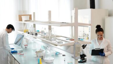 Whiteboards - Two scientists working in a modern laboratory setting, analyzing and documenting experiments.