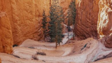 National Park Trails - A hiker in red ventures through the unique hoodoo formations of Bryce Canyon National Park.