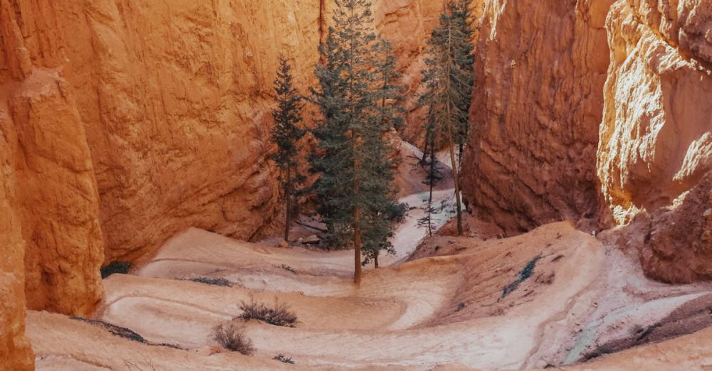 National Park Trails - A hiker in red ventures through the unique hoodoo formations of Bryce Canyon National Park.