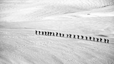 Extended Snowshoeing - Silhouetted group hiking across a vast snowy landscape showcasing adventure and endurance.