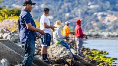 Adventure Tips - Men fishing on a rocky shoreline, enjoying a summer day by the sea.