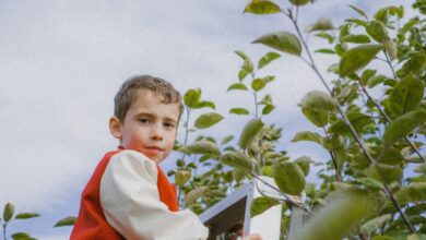 Quebec Climbing - Portrait of a young boy climbing a ladder surrounded by green foliage under a partly cloudy sky.