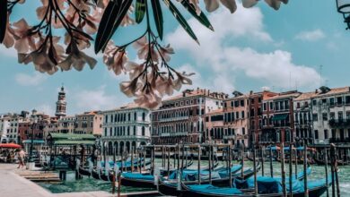 Scenic Tours - Beautiful view of Venice with gondolas on the canal, historic architecture, and blooming flowers.