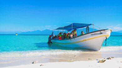 Wildlife Tours - Tourists enjoy a boat ride on a vibrant tropical beach with clear blue waters.