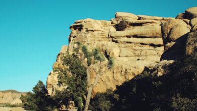 National Park Tours - Majestic rock formations and distinctive Joshua trees under a clear blue sky in California.