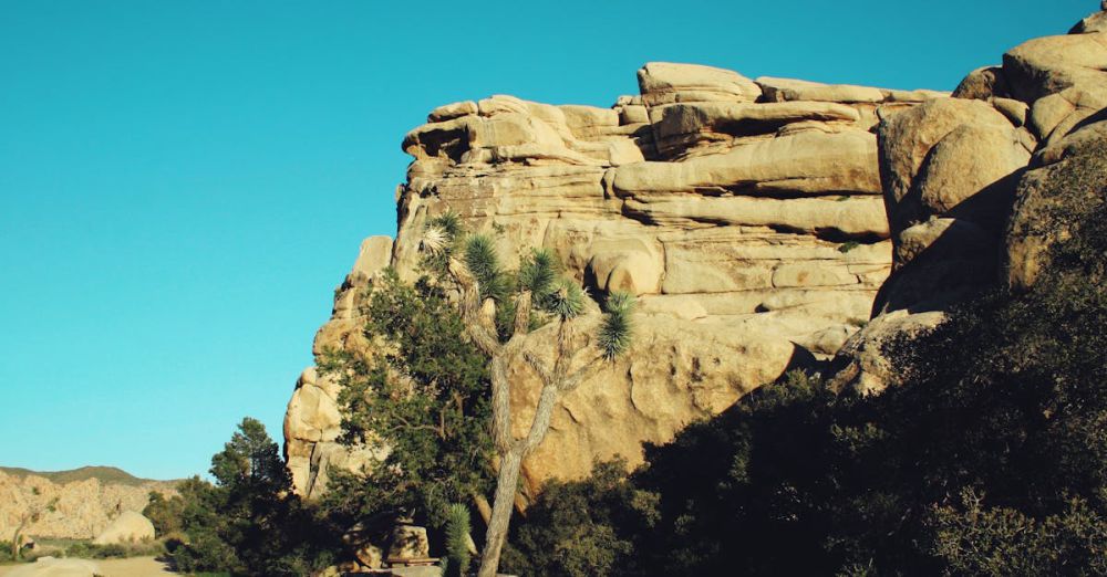 National Park Tours - Majestic rock formations and distinctive Joshua trees under a clear blue sky in California.