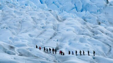 Budget Glacier Tours - A group of hikers trekking across a vast icefield in Patagonia, Argentina, showcasing the stunning icy landscape.