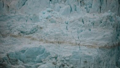 Educational Glacier Tours - A breathtaking view of a towering glacier ice wall in an arctic landscape highlighting climate change.