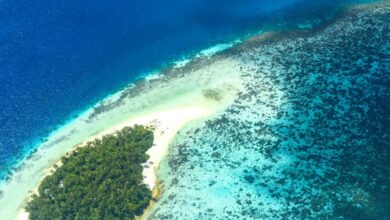 Surfing Spots - Stunning aerial view of a secluded tropical island with lush greenery and surrounding coral reefs.