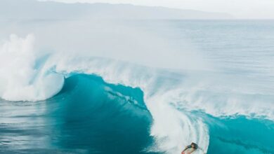 Big Waves - A surfer skillfully rides a large wave at Haleiwa Beach in Oahu, capturing the essence of adventure and excitement.