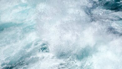 Surfing Conditions - A captivating high-angle view of a powerful ocean wave crashing and creating sea foam.