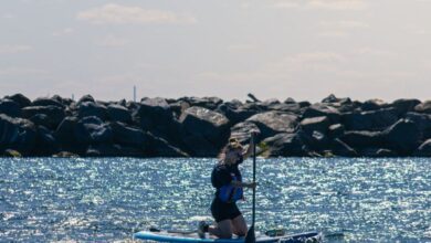 Ontario Surfing - A person enjoying stand up paddleboarding on Lake Ontario in Toronto under a blue sky.