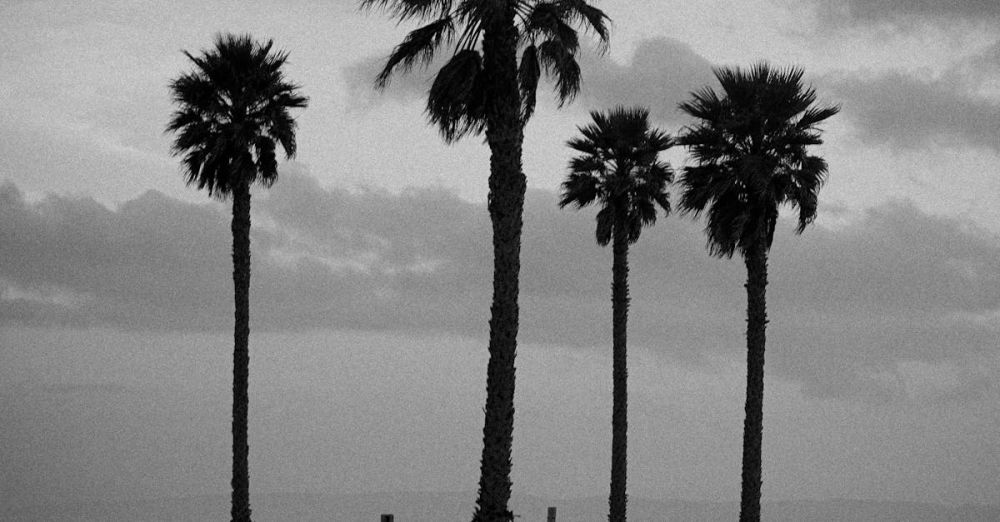 Relaxing Surfing - Pismo Palms