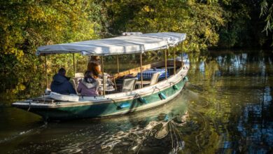 Fall Foliage Tours - Enjoy a serene boat ride along Oxford's picturesque canal surrounded by autumn foliage.