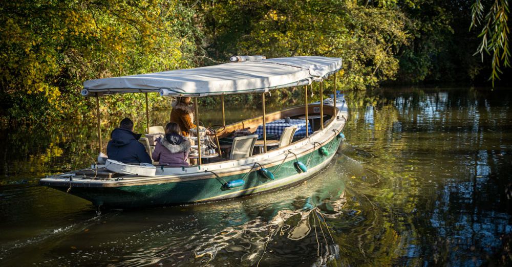 Fall Foliage Tours - Enjoy a serene boat ride along Oxford's picturesque canal surrounded by autumn foliage.