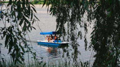 Family Tours - A serene scene of people enjoying a paddle boat ride on a tranquil river surrounded by lush trees.