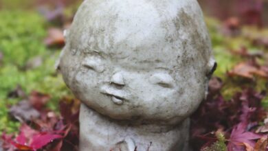 National Park Foliage - From above of religious statue in oriental style placed on mossy ground with withered leaves in Japanese garden on blurred background on