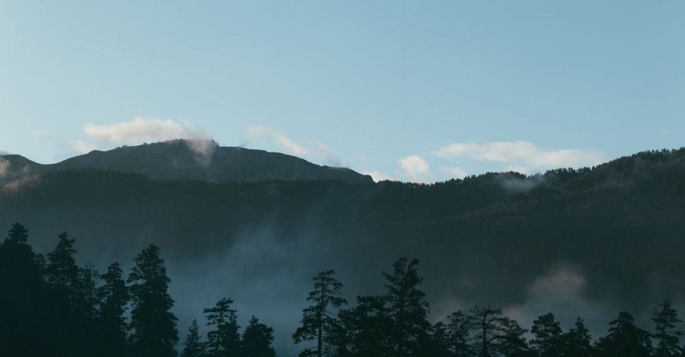 Rockies Foliage - Serene mountain view with mist and silhouetted pine trees under a clear sky.