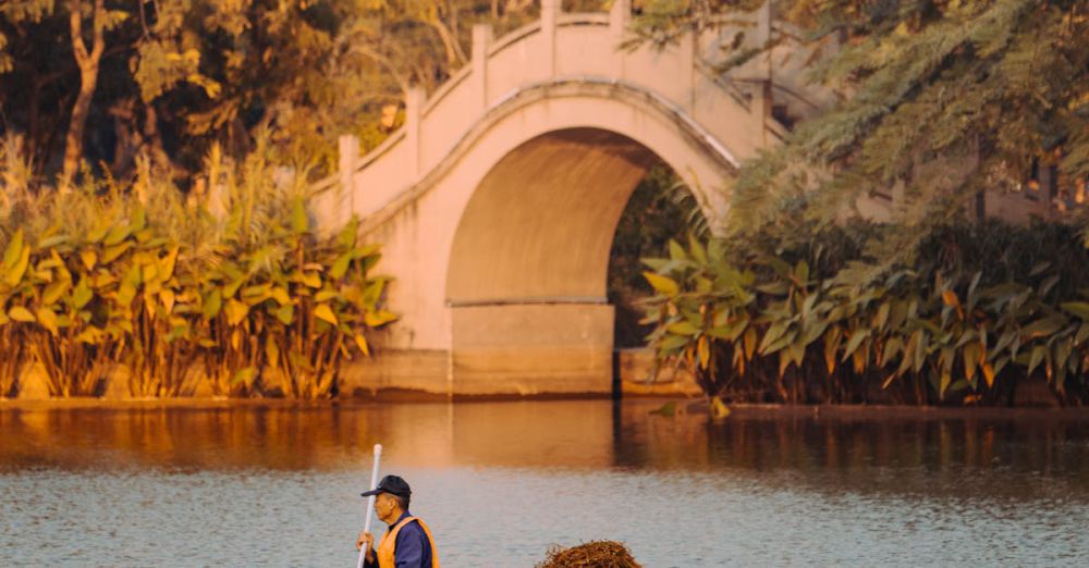 Boat Foliage - A man rowing on a tranquil lake with a picturesque arched bridge during sunset.