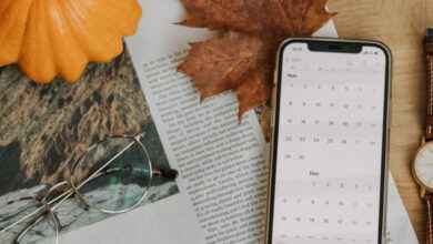 Fall Viewing Time - Cozy autumn flat lay with pumpkin, leaf, and smartphone displaying calendar.