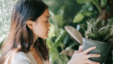 Botanical Garden Choice - An Asian woman with black hair holds a potted succulent plant outdoors, surrounded by greenery.