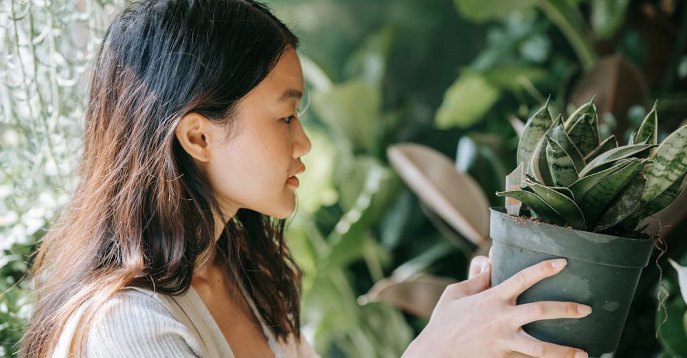 Botanical Garden Choice - An Asian woman with black hair holds a potted succulent plant outdoors, surrounded by greenery.