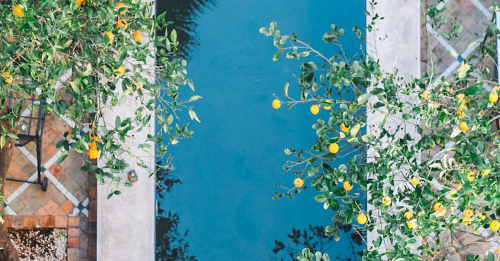 Relaxing Gardens - A tranquil pool surrounded by lush greenery and citrus trees, captured from above.