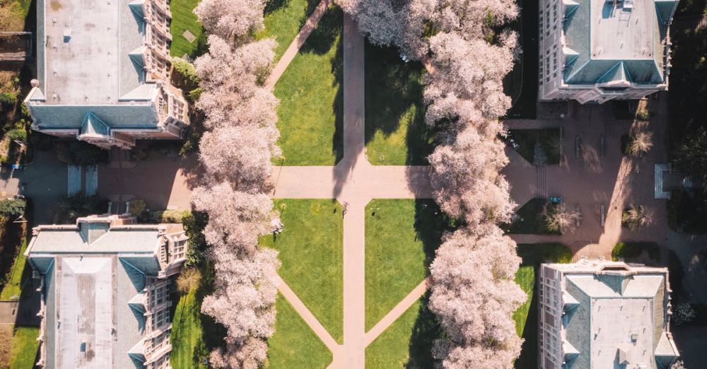 Educational Gardens - A stunning aerial shot of a university campus featuring symmetrical pathways and blooming cherry trees.