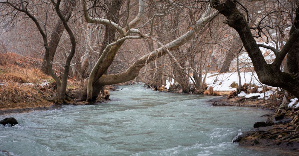 Seasonal Changes - A serene stream meanders through a snowy forest, creating a tranquil winter scene.